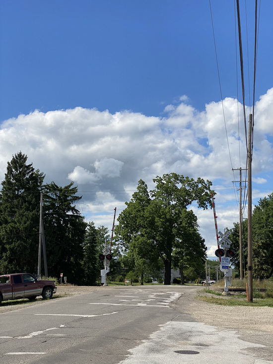 Morrice - July 2020 Photo (newer photo)